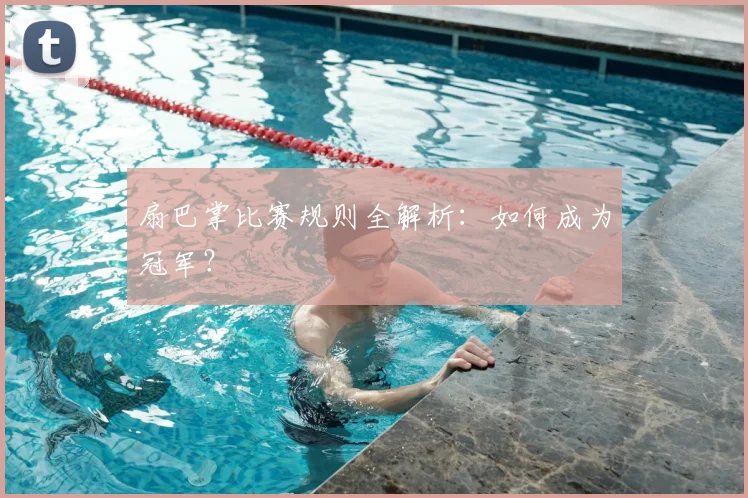 扇巴掌比赛规则全解析：如何成为冠军？