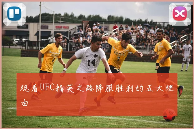 观看UFC精英之路降服胜利的五大理由