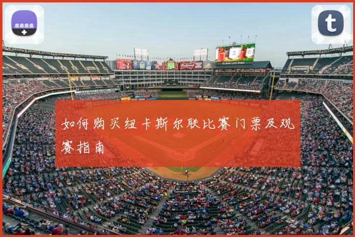 如何购买纽卡斯尔联比赛门票及观赛指南