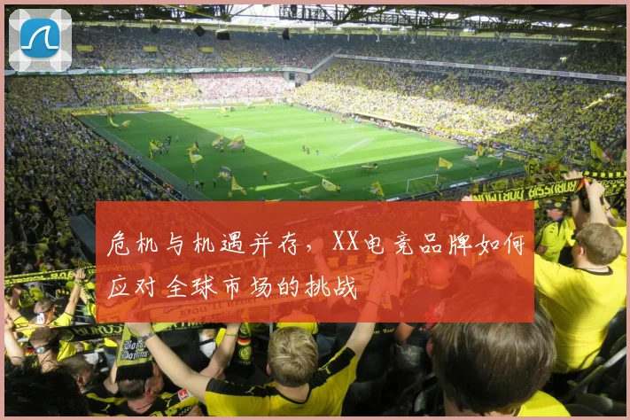 危机与机遇并存,XX电竞品牌如何应对全球市场的挑战